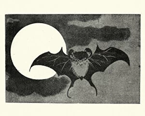 Oriental Style Woodblock Art Collection: Japanesse Art, Bat flying across face of the moon