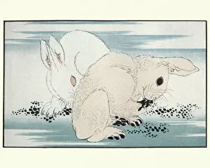 Images Dated 10th August 2018: Japanesse Art, Hares by Hokusai