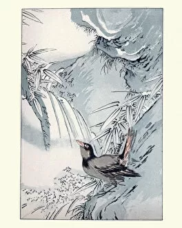 Natural World Collection: Japanesse Art, Study of a Bird