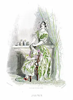 Grandville Prints: Jasmine flower and plant - Hand colored plate from 'Les Fleurs Animees by J