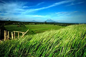 Jatiluwih Prints: Jatiluwih