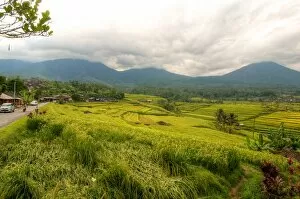 Images Dated 23rd May 2012: Jatiluwih rice fields