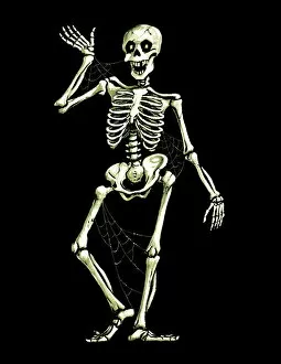Spooky Gallery: Jaunty skeleton