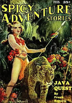Jungle Prints: Java Quest