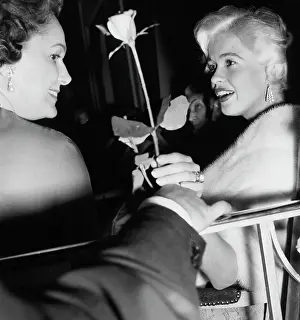 Prints of Actresses Jayne Mansfield (right) being handed a rose, with Rita Hayworth, at the Cannes Film Festival, May 12th 1958. (Photo by Archive Photos/Getty Images) Hollywood's Blonde Bombshell in Focus: Jayne Mansfield And Rita Hayworth