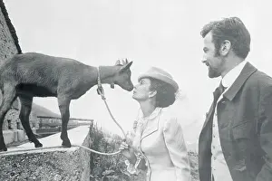 Goat Prints: Jean Simmons Rubbing Noses with a Goat