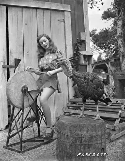 Jeanne Crain Sharpening Axe for Turkey