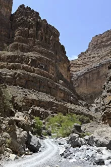 Palmaceae Gallery: Jebel Shams Canyon, Hadjar-Gebirge, Hadschar-Gebirge, Tiwi, Oman