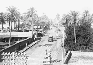 Baghdad Prints: Jeep Drives Down Street Among Palm Trees