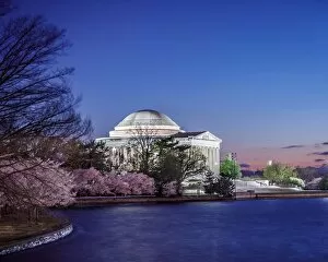 Delicate Cherry Blossoms Collection: Jefferson memorial