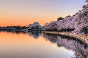 Images Dated 12th April 2015: Jefferson Memorial Cherry Blossom Sunrise