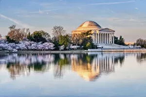 Images Dated 29th April 2019: Jefferson Memorial and Cherry Blossoms