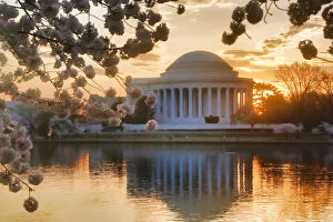 Delicate Cherry Blossoms Collection: Jefferson Memorial with Cherry Blossoms at Sunrise, Washington, District of Columbia, USA