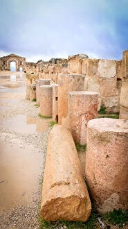 Images Dated 25th January 2016: Jerash South Gate and Hippodrome