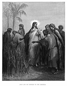 Images Dated 19th August 2016: Jesus and disciples in the cornfield engraving 1870
