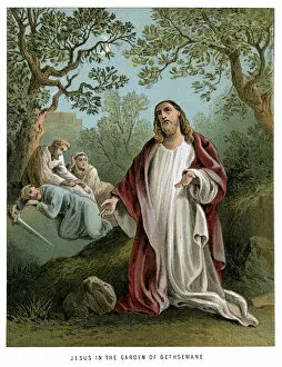 Images Dated 15th October 2013: Jesus in the Garden of Gethsemane