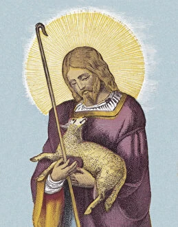Livestock Gallery: Jesus and Lamb