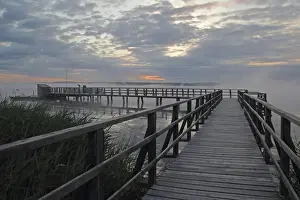 Morning Fog Prints: Jetty at Federsee lake, Federsee lake nature reserve