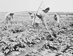 Jewish Girls Farming with Shotguns on a Kibbutz