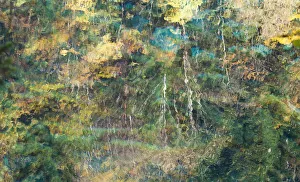 Images Dated 24th October 2014: jiuzhaigou autumn reflection