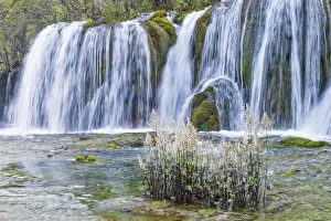 Images Dated 14th October 2015: Jiuzhaigou NP - Arrow Bamboo Lake