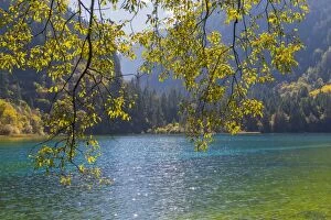 Images Dated 13th October 2015: Jiuzhaigou NP - Colorful Lake