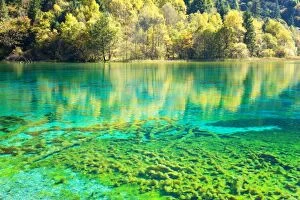 Images Dated 13th October 2015: Jiuzhaigou NP - Colorful Lake