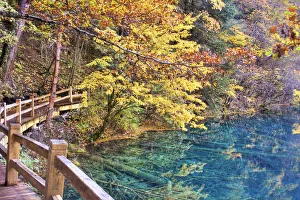 Railing Collection: Jiuzhaigou Valley