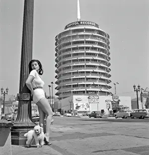 Joan Bradshaw In Hollywood