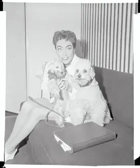 Joan Crawford Posing with Dogs