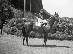 Jockey Prints: Jockey Charlie Kurtsinger Mounted on War Admiral
