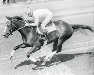 Jockey Eddie Arcaro Riding Race Horse Jewels Reward