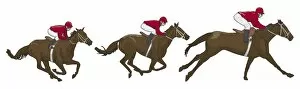 Racehorse Gallery: Jockey gallopping