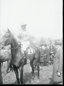 Jockey and Horse