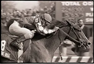 Jockey and Horse in Motion During Race