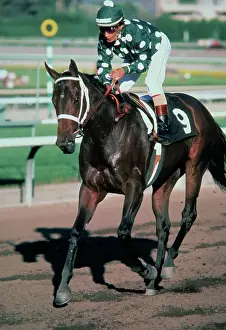 Jockey Lafffit Pincay Jr. Riding Horse on Track