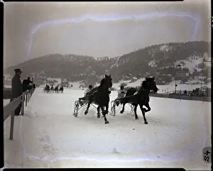 Harness Prints: Jockeys Harness-Race Horses