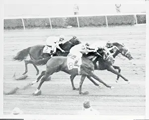 Elmont Prints: Jockeys Racing Their Horses
