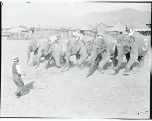 El Monte Prints: Jockeys Riding Elephants
