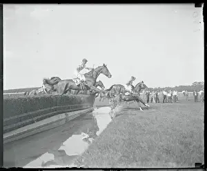Elmont Prints: Jockeys Riding Horse and Jumping During Competition