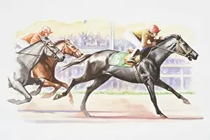 Horse Gallery: Jockeys riding in horse race, spectators in background, side view