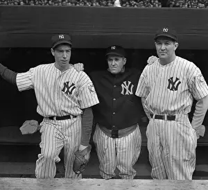 Joseph V Prints: Joe DiMaggio Pictured Together with Joe McCarthy and Joe Gallagher