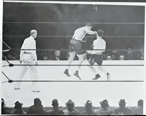 Joe Louis Knocking Out Bob Pastor
