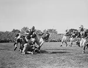 Joe Schmidt Tackling Breezy Reid
