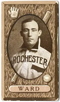 Joe Ward Baseball Card