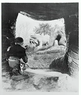 John Burwood Looking at Dinosaurs