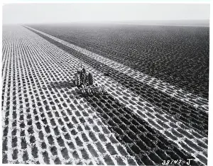 Tractor Prints: John Deere Model G Tractor In Field