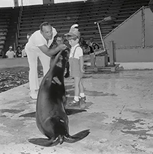 Seal Prints: John F. Kennedy Jr. Looking at a Seal