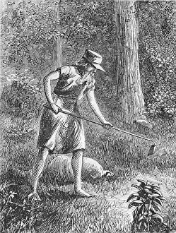 Planting Prints: Johnny Appleseed Planting Apple Seeds in Wilderness