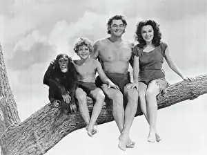 Chimpanzee Prints: Johnny Weismuller and Maureen O'Sullivan in a Tarzan Movie